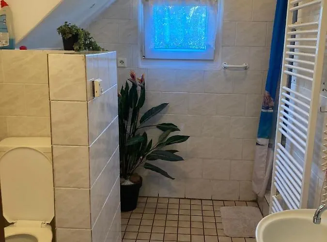 Apartament Rekreacni *